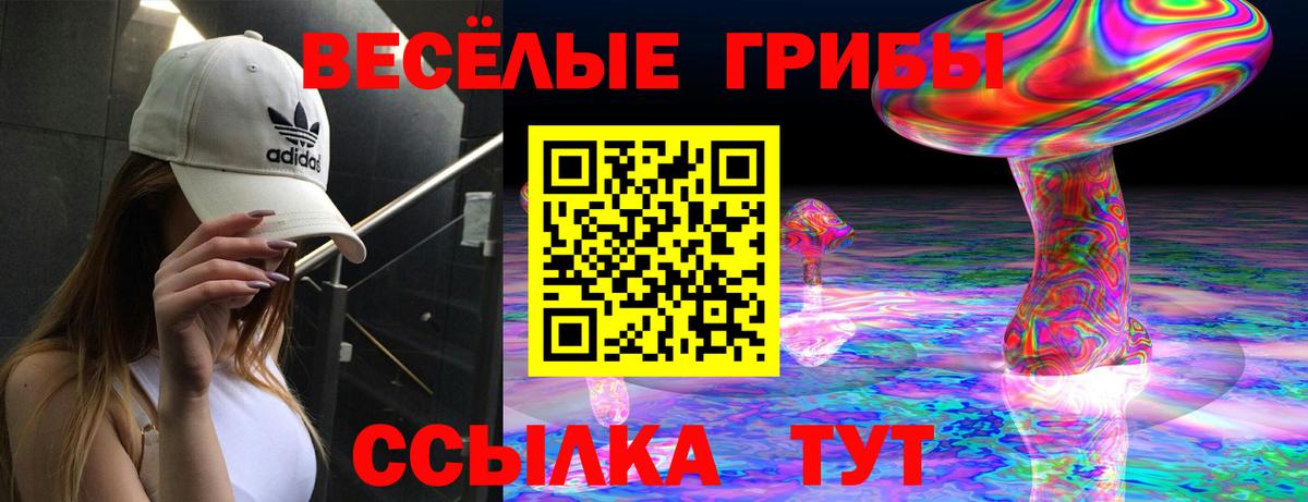 Галлюциногенные грибы Psilocybine cubensis  Вход с VPN  Татарск 